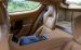 Aston Martin Rapide S 2015 Widescreen Picture #21